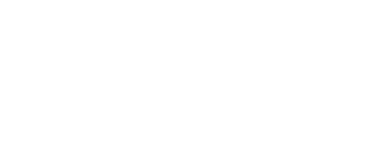 dbr logo main